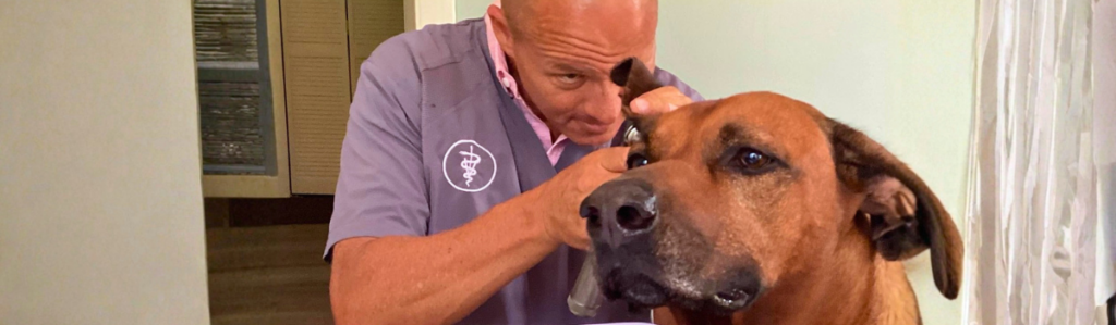 A local veterinarian examines a dog's eye with an otoscope during an in-home wellness visit, exam notes resting on the table beside them.
